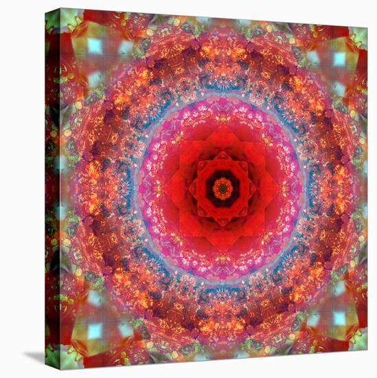 A Mandala from Rose and Cherry Blossom Photographs-Alaya Gadeh-Stretched Canvas