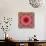 A Mandala from Rose and Cherry Blossom Photographs-Alaya Gadeh-Photographic Print displayed on a wall