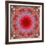 A Mandala from Rose and Cherry Blossom Photographs-Alaya Gadeh-Framed Photographic Print