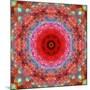 A Mandala from Rose and Cherry Blossom Photographs-Alaya Gadeh-Mounted Photographic Print