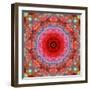 A Mandala from Rose and Cherry Blossom Photographs-Alaya Gadeh-Framed Photographic Print