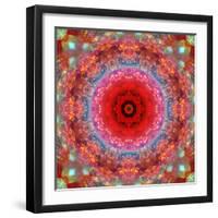 A Mandala from Rose and Cherry Blossom Photographs-Alaya Gadeh-Framed Photographic Print