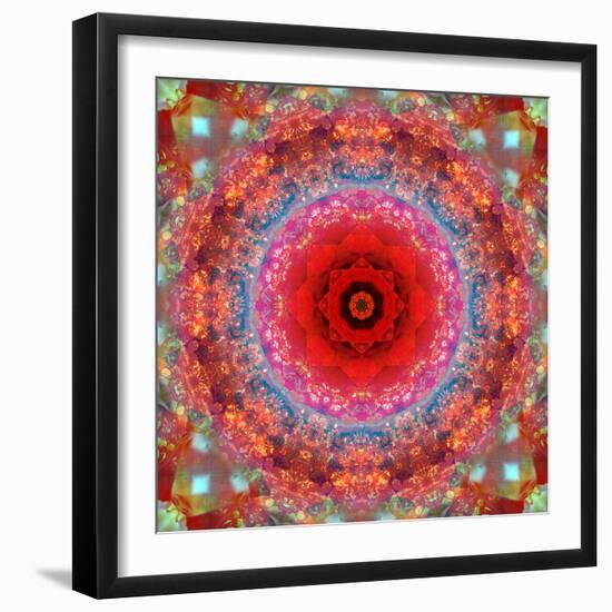 A Mandala from Rose and Cherry Blossom Photographs-Alaya Gadeh-Framed Photographic Print