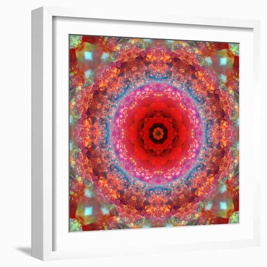 A Mandala from Rose and Cherry Blossom Photographs-Alaya Gadeh-Framed Photographic Print