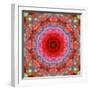 A Mandala from Rose and Cherry Blossom Photographs-Alaya Gadeh-Framed Photographic Print