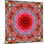 A Mandala from Rose and Cherry Blossom Photographs-Alaya Gadeh-Mounted Photographic Print