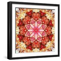 A Mandala Montage from Collected Acre Flowers-Alaya Gadeh-Framed Photographic Print