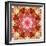 A Mandala Montage from Collected Acre Flowers-Alaya Gadeh-Framed Photographic Print