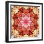 A Mandala Montage from Collected Acre Flowers-Alaya Gadeh-Framed Photographic Print