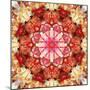 A Mandala Montage from Collected Acre Flowers-Alaya Gadeh-Mounted Photographic Print