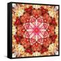 A Mandala Montage from Collected Acre Flowers-Alaya Gadeh-Framed Stretched Canvas
