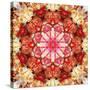 A Mandala Montage from Collected Acre Flowers-Alaya Gadeh-Stretched Canvas