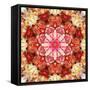 A Mandala Montage from Collected Acre Flowers-Alaya Gadeh-Framed Stretched Canvas