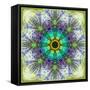 A Mandala Montage Out of Roses and Ornaments-Alaya Gadeh-Framed Stretched Canvas