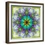 A Mandala Montage Out of Roses and Ornaments-Alaya Gadeh-Framed Photographic Print