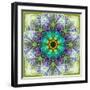 A Mandala Montage Out of Roses and Ornaments-Alaya Gadeh-Framed Photographic Print