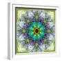 A Mandala Montage Out of Roses and Ornaments-Alaya Gadeh-Framed Photographic Print