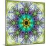 A Mandala Montage Out of Roses and Ornaments-Alaya Gadeh-Mounted Photographic Print