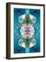 A Mandala Ornament from Flower Photographs, Conceptual Layer Work-Alaya Gadeh-Framed Photographic Print