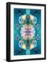 A Mandala Ornament from Flower Photographs, Conceptual Layer Work-Alaya Gadeh-Framed Photographic Print