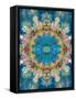 A Mandala Ornament from Flower Photographs, Conceptual Layer Work-Alaya Gadeh-Framed Stretched Canvas