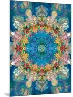 A Mandala Ornament from Flower Photographs, Conceptual Layer Work-Alaya Gadeh-Mounted Photographic Print