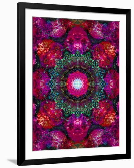 A Mandala Ornament from Flower Photographs, Conceptual Layer Work-Alaya Gadeh-Framed Photographic Print