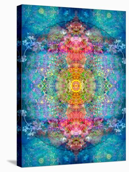 A Mandala Ornament from Flower Photographs, Conceptual Layer Work-Alaya Gadeh-Stretched Canvas