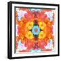 A Mandala Ornament from Flower Photographs, Conceptual Layer Work-Alaya Gadeh-Framed Photographic Print