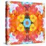 A Mandala Ornament from Flower Photographs, Conceptual Layer Work-Alaya Gadeh-Stretched Canvas