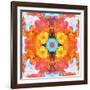 A Mandala Ornament from Flower Photographs, Conceptual Layer Work-Alaya Gadeh-Framed Photographic Print