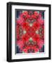 A Mandala Ornament from Flower Photographs, Conceptual Layer Work-Alaya Gadeh-Framed Photographic Print