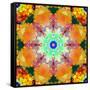 A Mandala Ornament from Flower Photographs, Conceptual Layer Work-Alaya Gadeh-Framed Stretched Canvas
