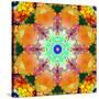 A Mandala Ornament from Flower Photographs, Conceptual Layer Work-Alaya Gadeh-Stretched Canvas