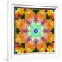 A Mandala Ornament from Flower Photographs, Conceptual Layer Work-Alaya Gadeh-Framed Photographic Print