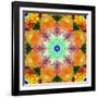 A Mandala Ornament from Flower Photographs, Conceptual Layer Work-Alaya Gadeh-Framed Photographic Print