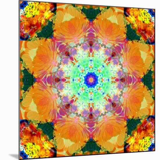 A Mandala Ornament from Flower Photographs, Conceptual Layer Work-Alaya Gadeh-Mounted Photographic Print