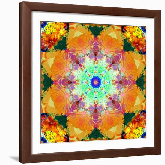 A Mandala Ornament from Flower Photographs, Conceptual Layer Work-Alaya Gadeh-Framed Photographic Print