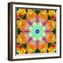 A Mandala Ornament from Flower Photographs, Conceptual Layer Work-Alaya Gadeh-Framed Photographic Print