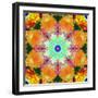 A Mandala Ornament from Flower Photographs, Conceptual Layer Work-Alaya Gadeh-Framed Photographic Print