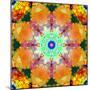 A Mandala Ornament from Flower Photographs, Conceptual Layer Work-Alaya Gadeh-Mounted Photographic Print