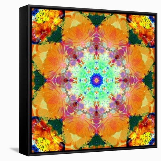 A Mandala Ornament from Flower Photographs, Conceptual Layer Work-Alaya Gadeh-Framed Stretched Canvas