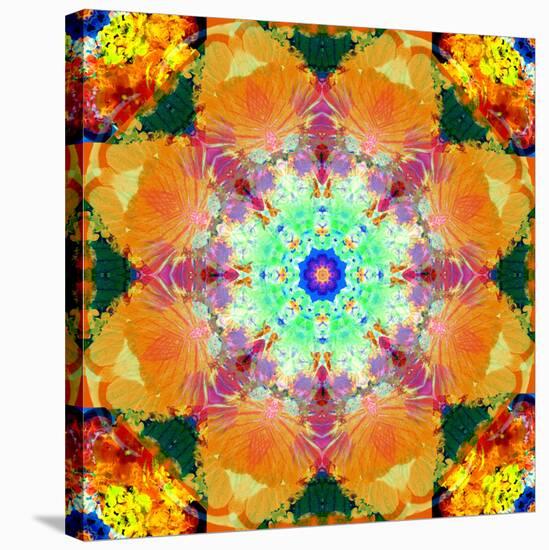 A Mandala Ornament from Flower Photographs, Conceptual Layer Work-Alaya Gadeh-Stretched Canvas