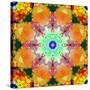 A Mandala Ornament from Flower Photographs, Conceptual Layer Work-Alaya Gadeh-Stretched Canvas