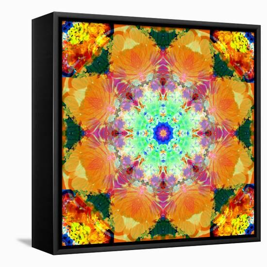 A Mandala Ornament from Flower Photographs, Conceptual Layer Work-Alaya Gadeh-Framed Stretched Canvas