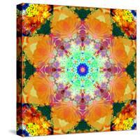 A Mandala Ornament from Flower Photographs, Conceptual Layer Work-Alaya Gadeh-Stretched Canvas