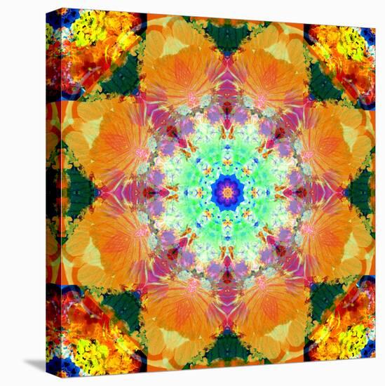 A Mandala Ornament from Flower Photographs, Conceptual Layer Work-Alaya Gadeh-Stretched Canvas