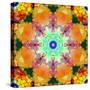 A Mandala Ornament from Flower Photographs, Conceptual Layer Work-Alaya Gadeh-Stretched Canvas