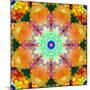 A Mandala Ornament from Flower Photographs, Conceptual Layer Work-Alaya Gadeh-Mounted Photographic Print