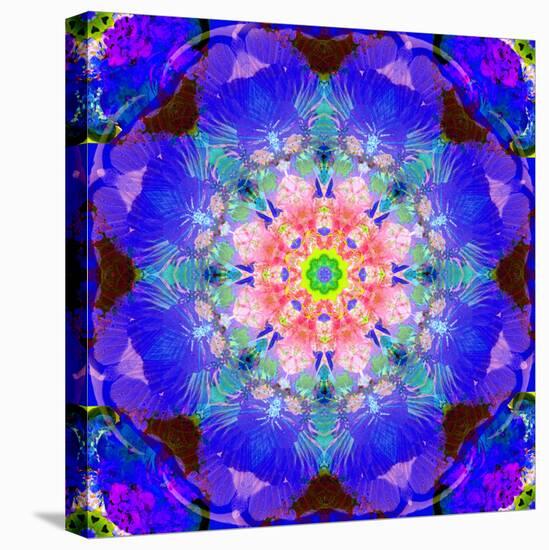 A Mandala Ornament from Flower Photographs, Conceptual Layer Work-Alaya Gadeh-Stretched Canvas